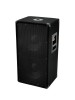 Сабвуфер BX-2250 Subwoofer
