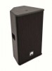 Акустическая система PAS-210+ 2-way top