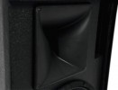 Акустическая система PAS-215PRO 2-Way Top
