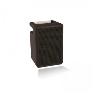 Портативная аудиосистема SPB-4BT Портативная аудиосистема SPB-4BT