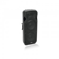 Акустическая система VFM-2212AP 2-Way Speaker