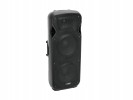 Акустическая система VFM-2215 2-Way Speaker