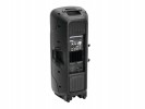 Акустическая система VFM-2215AP 2-Way Speaker