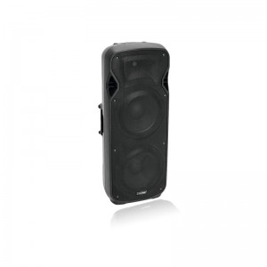 Акустическая система VFM-2215AP 2-Way Speaker